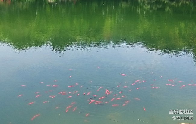 [温暖前行]青秀景色