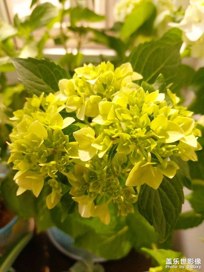 《每周星鲜事》 第105期:520勇敢表达爱,心里好礼等你抽取 《每周星鲜事》 第105期:520勇敢表达爱,心里好礼等你抽取