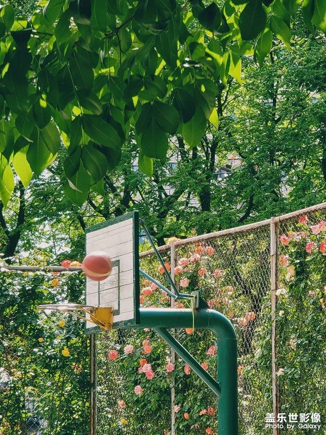 《每周星鲜事》 第105期:520勇敢表达爱,心里好礼等你抽取 《每周星鲜事》 第105期:520勇敢表达爱,心里好礼等你抽取