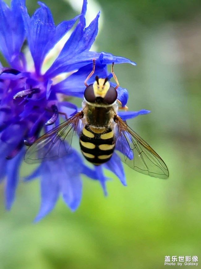 《每周星鲜事》 第105期:520勇敢表达爱,心里好礼等你抽取 《每周星鲜事》 第105期:520勇敢表达爱,心里好礼等你抽取