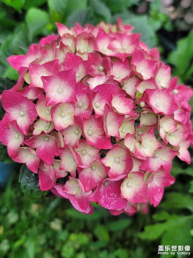 《每周星鲜事》 第105期:520勇敢表达爱,心里好礼等你抽取 《每周星鲜事》 第105期:520勇敢表达爱,心里好礼等你抽取