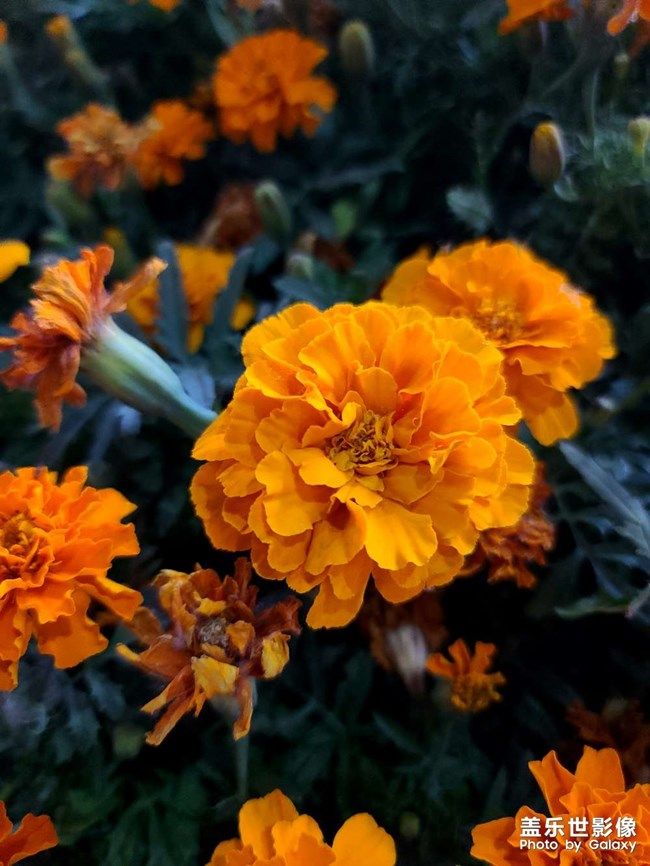 《每周星鲜事》 第105期:520勇敢表达爱,心里好礼等你抽取 《每周星鲜事》 第105期:520勇敢表达爱,心里好礼等你抽取