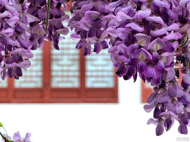 《每周星鲜事》 第105期:520勇敢表达爱,心里好礼等你抽取 《每周星鲜事》 第105期:520勇敢表达爱,心里好礼等你抽取