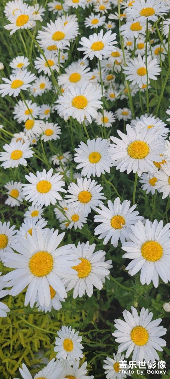 《每周星鲜事》 第105期:520勇敢表达爱,心里好礼等你抽取 《每周星鲜事》 第105期:520勇敢表达爱,心里好礼等你抽取