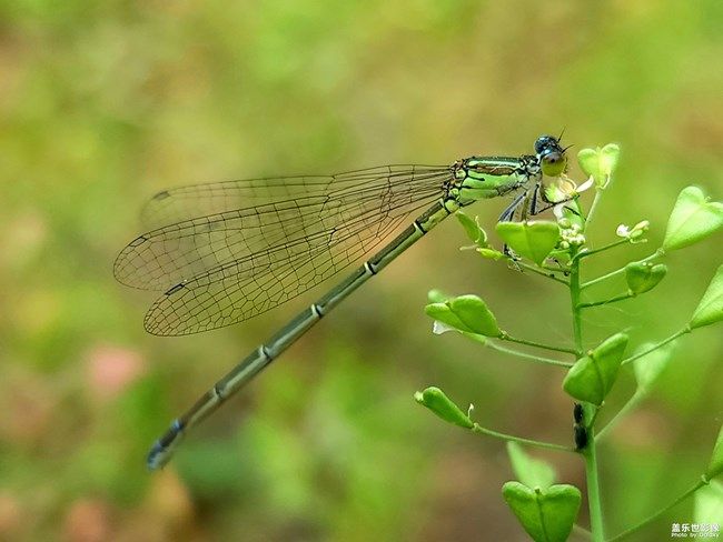 《每周星鲜事》 第105期:520勇敢表达爱,心里好礼等你抽取 《每周星鲜事》 第105期:520勇敢表达爱,心里好礼等你抽取