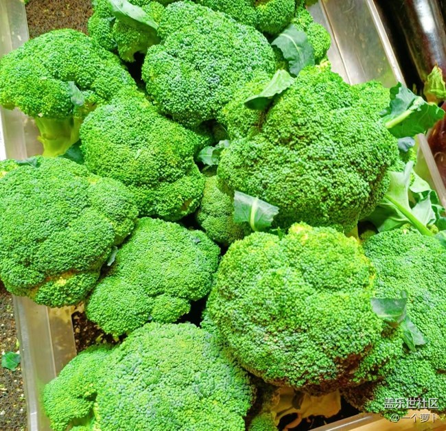 【食粮】逛逛超市