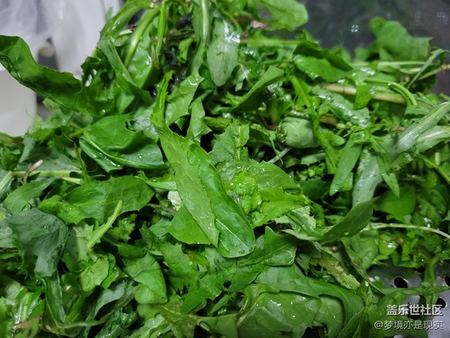 【食粮】包子