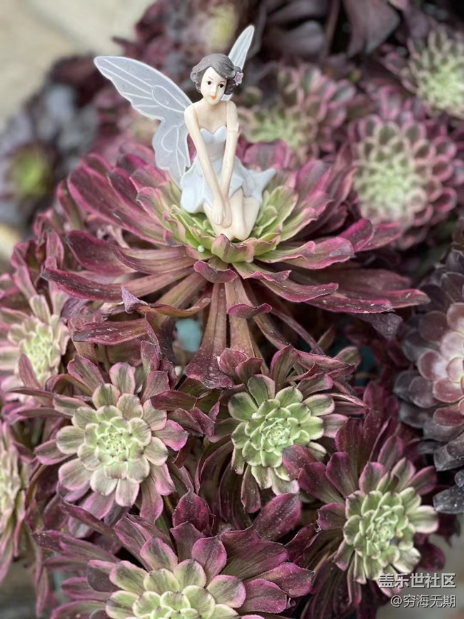 【端午生活随手拍】