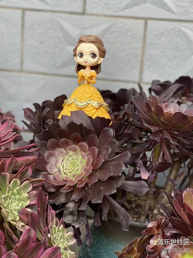 【端午生活随手拍】