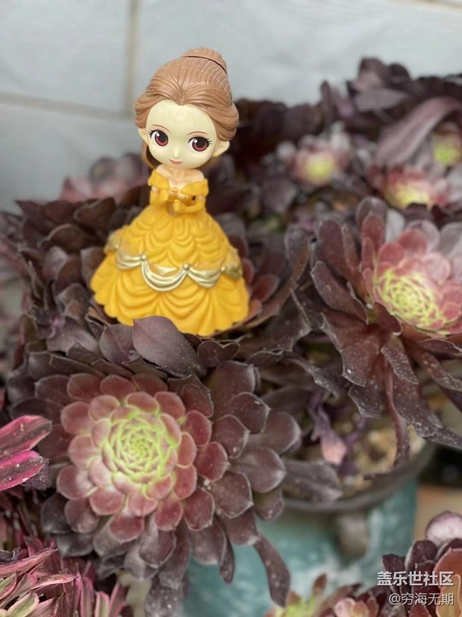 【端午生活随手拍】