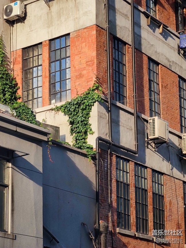 【爱在武汉】江城的夏天