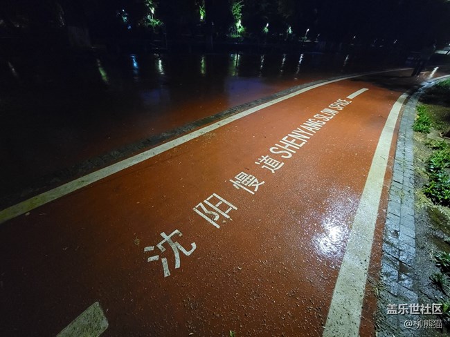 【呼唤夏日】雨天夜晚的绿植