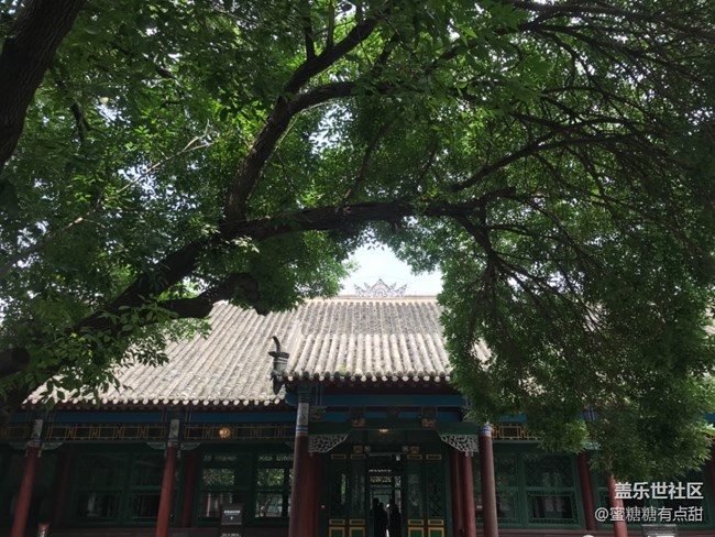 我在帅府拍拍拍—沈阳人的第一次帅府行