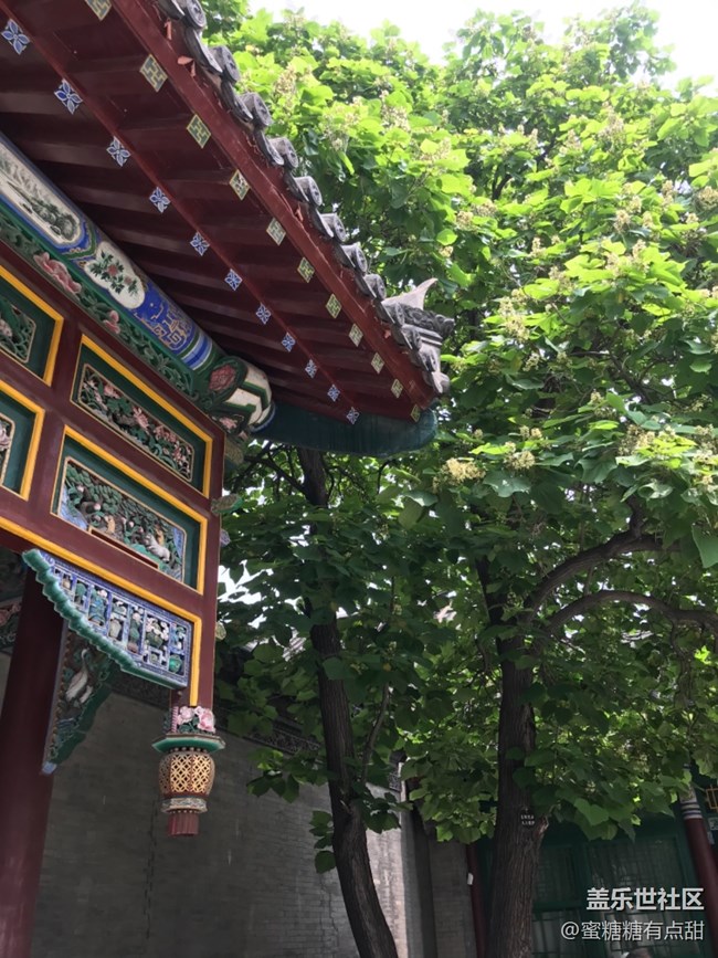 我在帅府拍拍拍—沈阳人的第一次帅府行