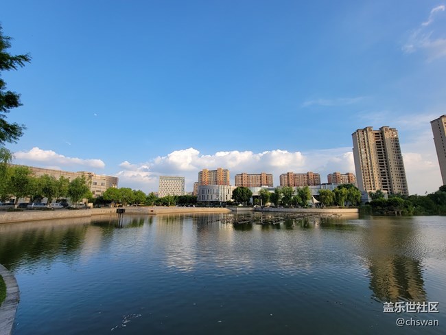 S21 Ultra 主摄无法对焦，拍摄的照片是模糊的