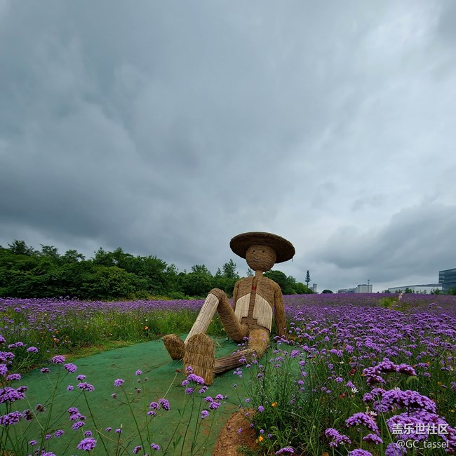 阴雨天
