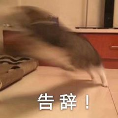 长期使用冲牙器的危害弊端，这些副作用你必须了解！