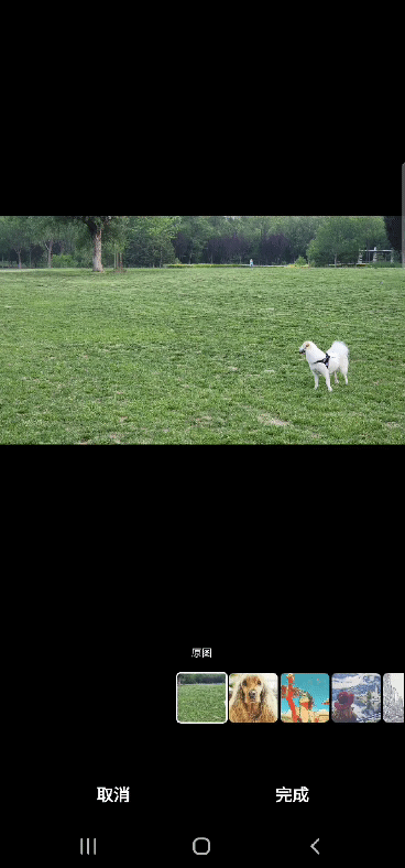 lv_0_20220621151044_1.gif