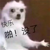 冲牙器到底好不好？资深个护讲解三大伤牙危害