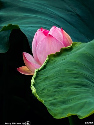 【我的夏天】+花花世界