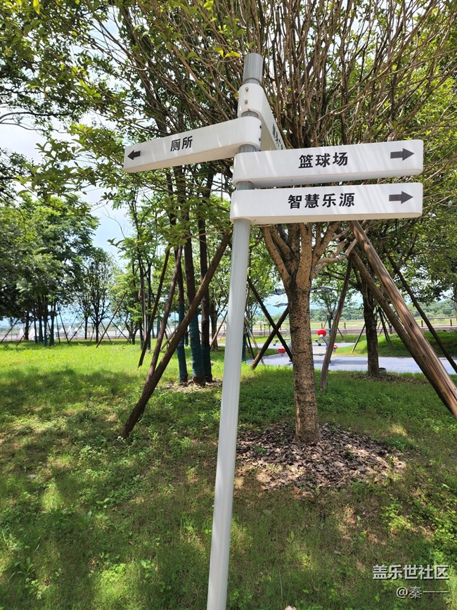 三星S22 Ultra主摄随手拍，成像表现很稳