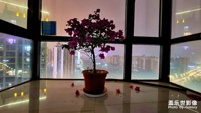 【夏之夜】+夜色美