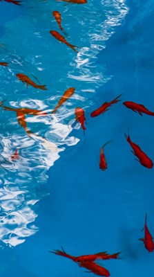 【我的夏天】色彩构图