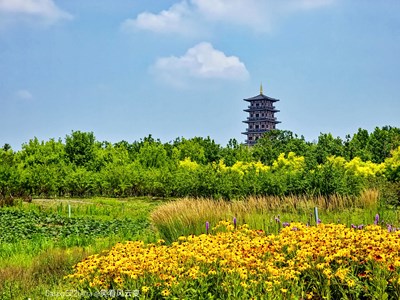 已开奖【盖乐世影像周赛第248期】—— 盛夏的影像