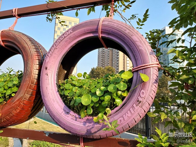 【甜蜜校园回忆录】+回不去的校园时光