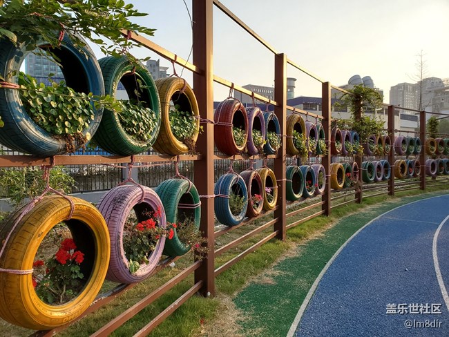 【甜蜜校园回忆录】+回不去的校园时光