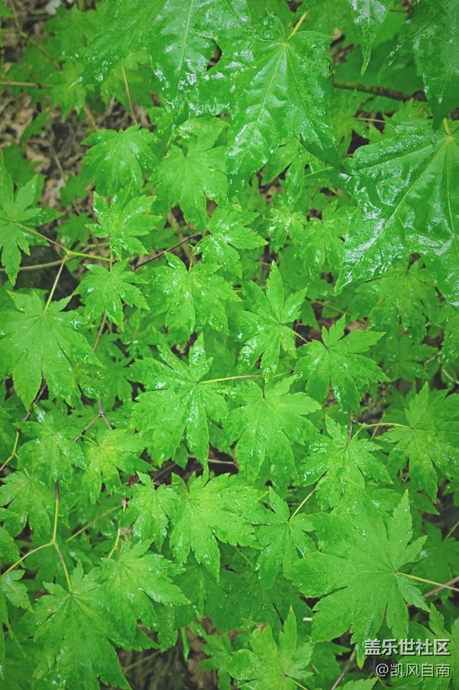 沈阳星部落铁刹山风光摄影回顾贴