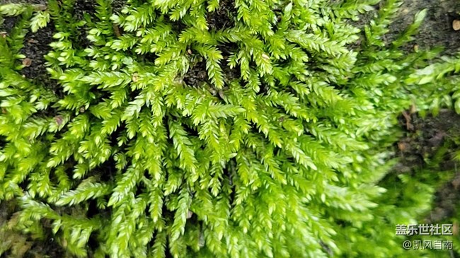 沈阳星部落铁刹山风光摄影回顾贴