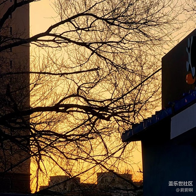 【年中小结】醉美夕阳