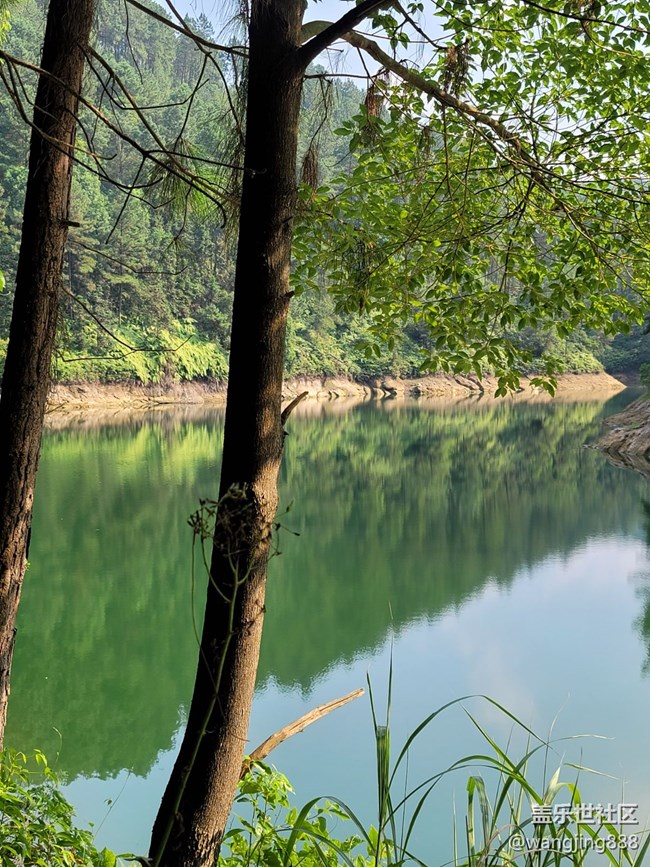 风景
