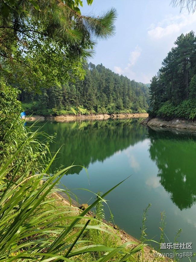 风景