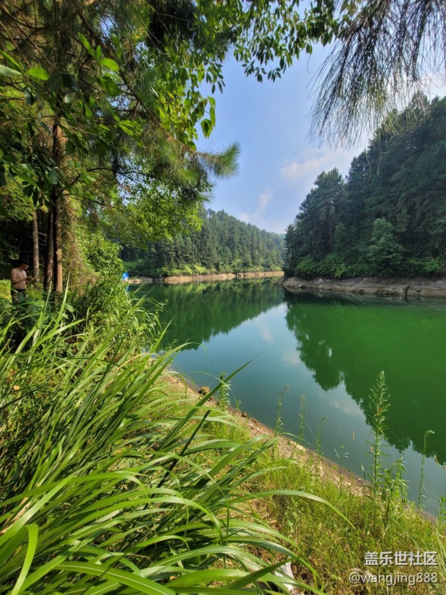 风景