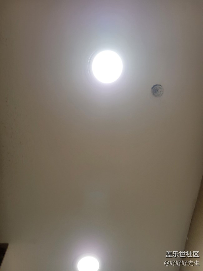 【霓虹灯下】光下的叶子