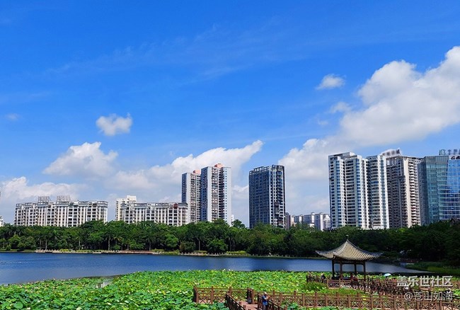 [走过的风景]——漫步南湖