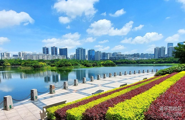[走过的风景]——漫步南湖
