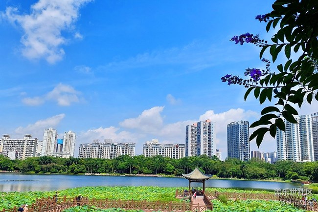 [走过的风景]——漫步南湖