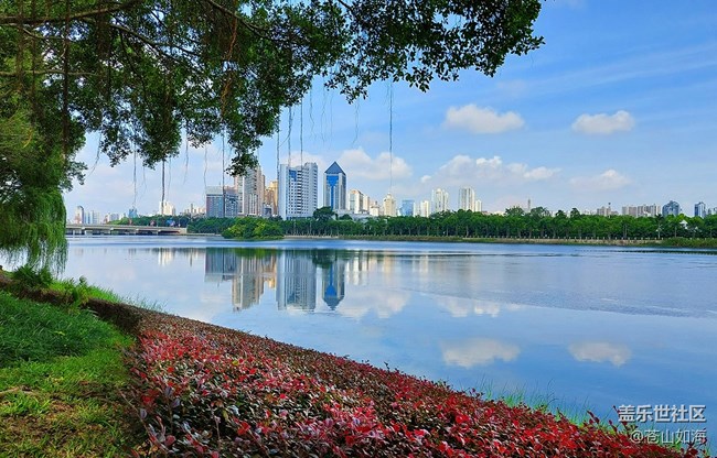 [走过的风景]——漫步南湖