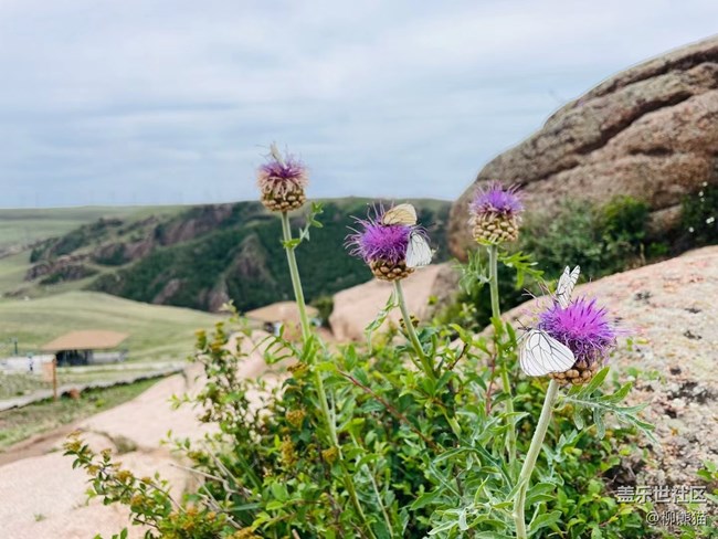 【灵动一夏】出去逛逛