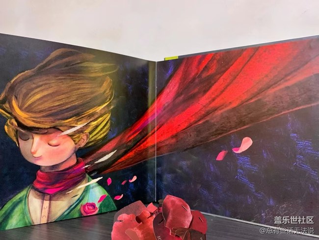 【青葱岁月】小王子的世界