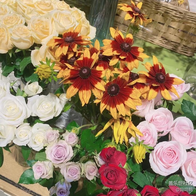 【青葱岁月】花花草草的青青葱葱