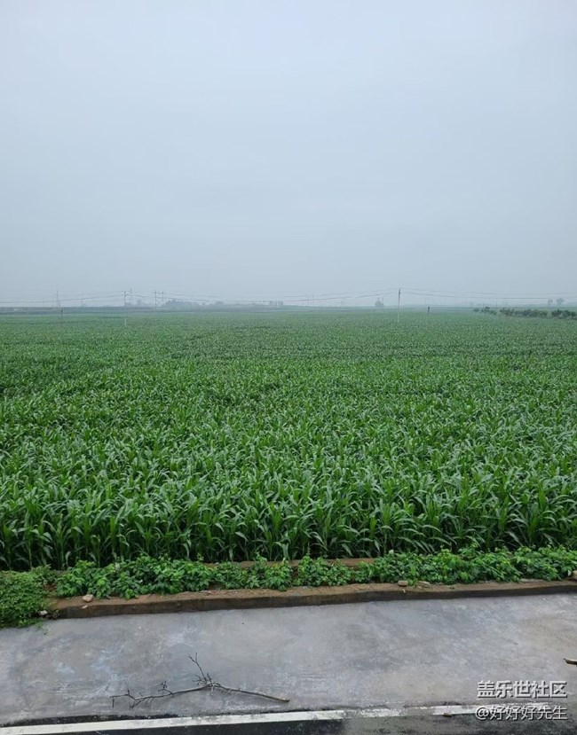 【年中小结】小收获