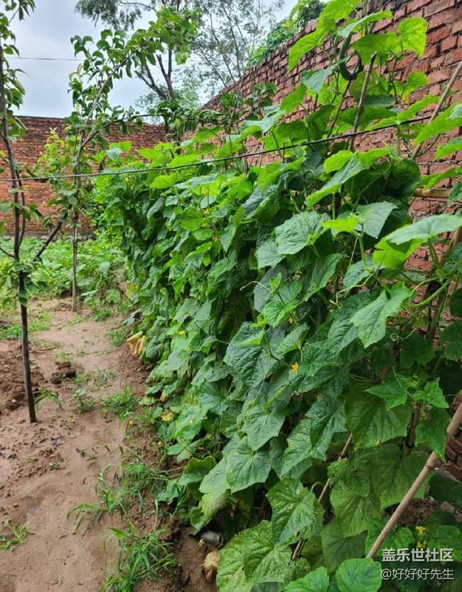 【年中小结】小收获