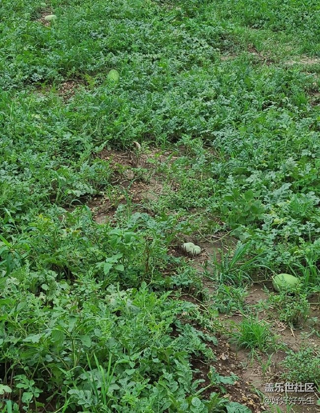 【年中小结】小收获