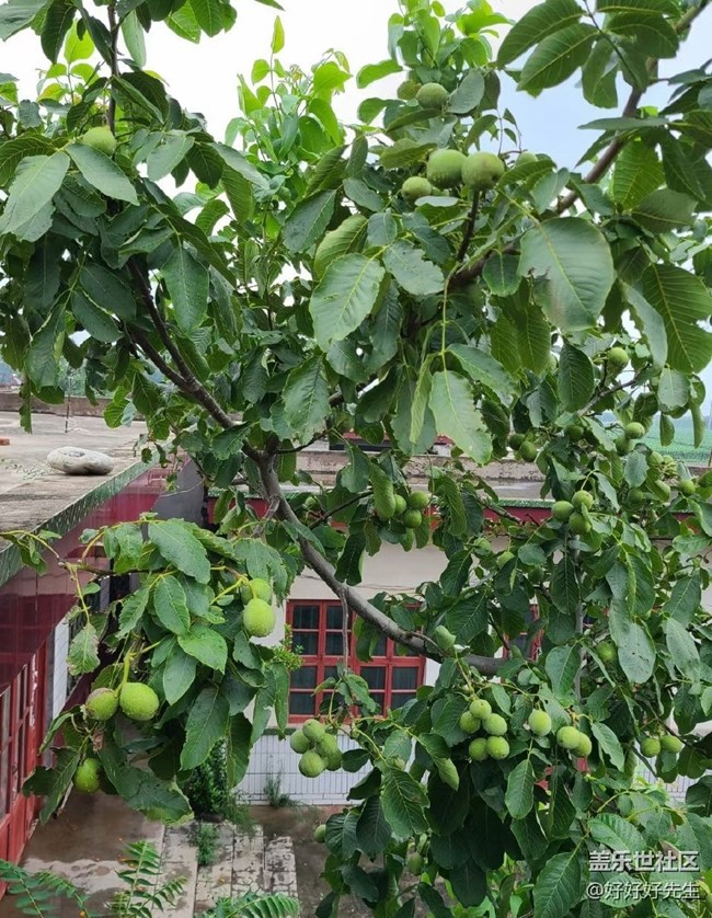 【年中小结】小收获