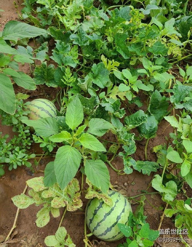 【年中小结】小收获