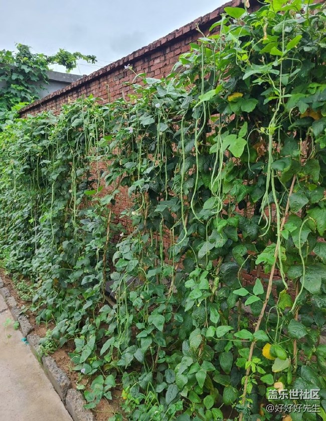 【年中小结】小收获